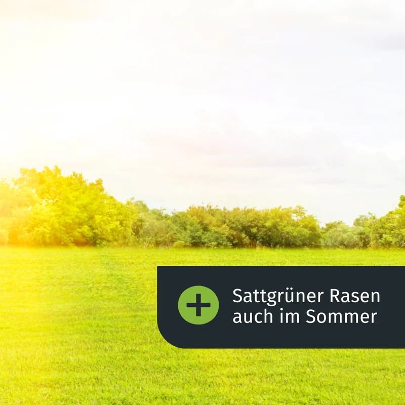 Sommer-Set mit Streuer (250 m²)