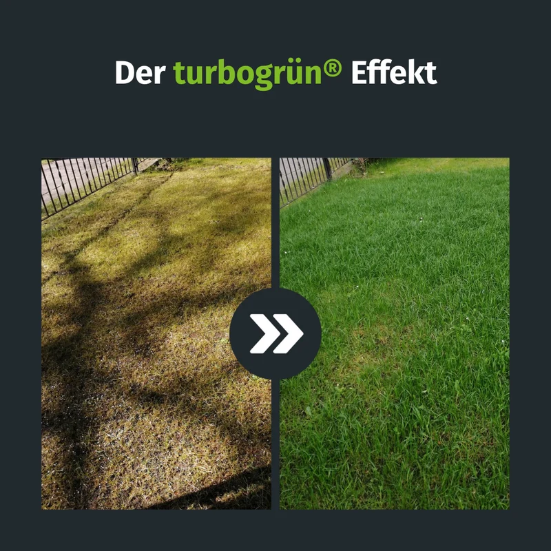 Frühlings - Rasenset