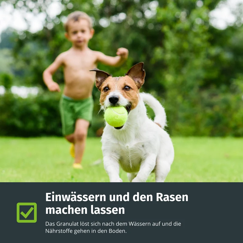 Herbst-Rasendünger