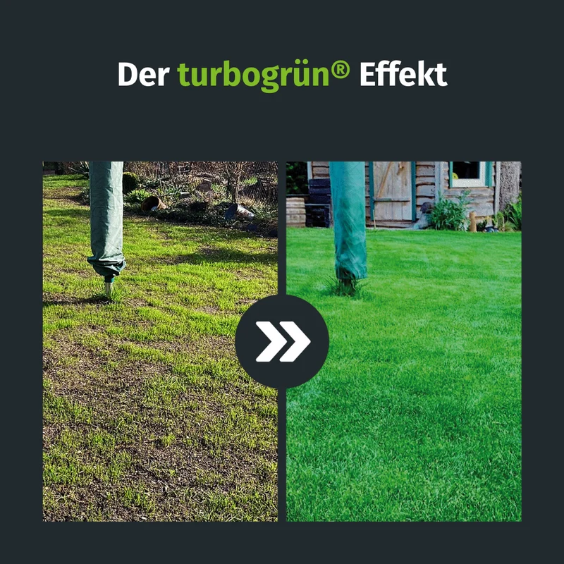 Herbst Starter-Set (125 m²)