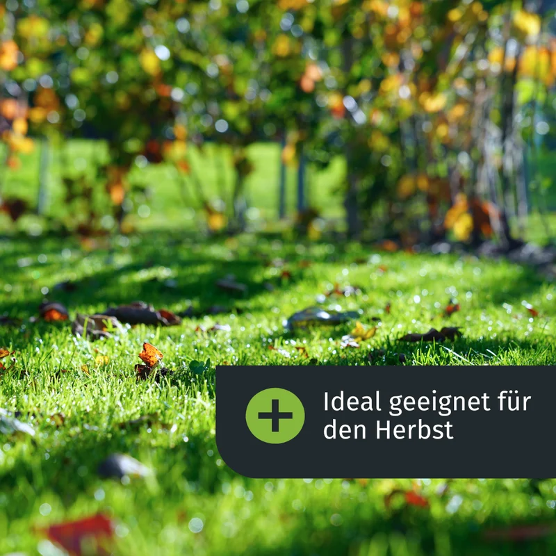 Herbst Starter-Set (125 m²)