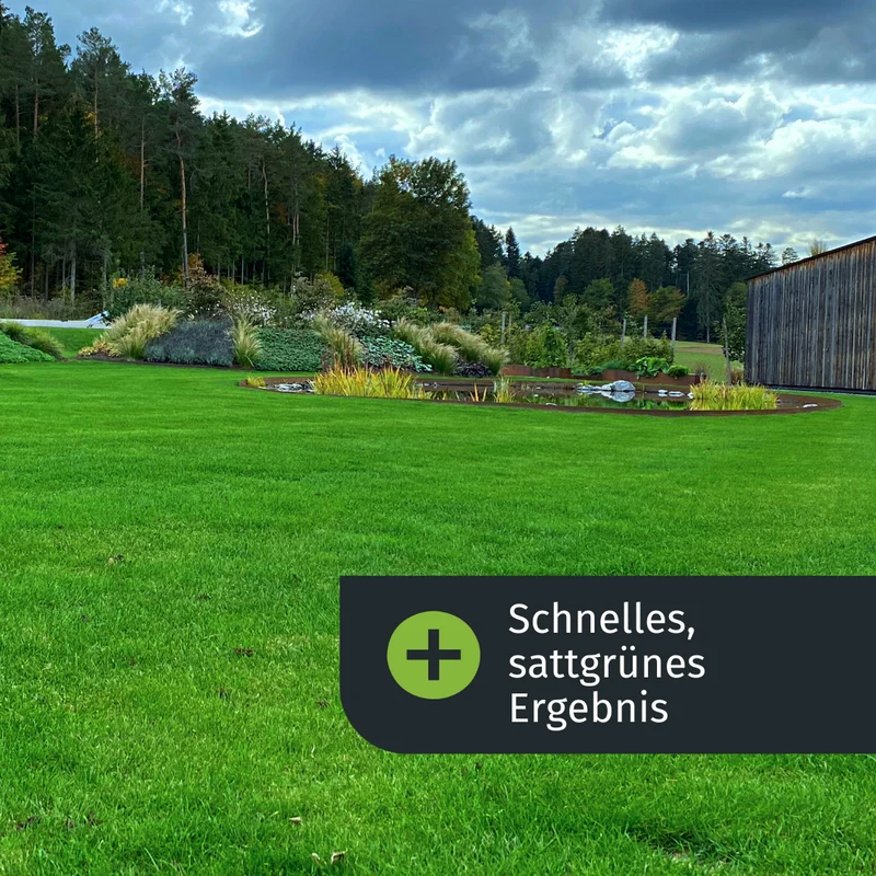 Herbst Starter-Set (125 m²)