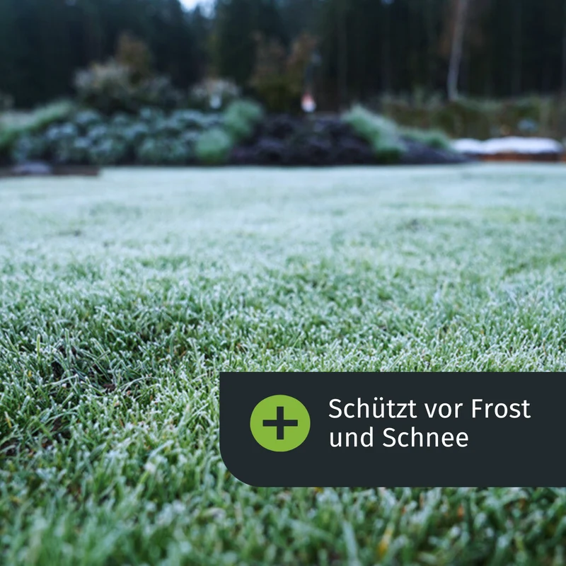 Herbstpflege Duo (500 m²)