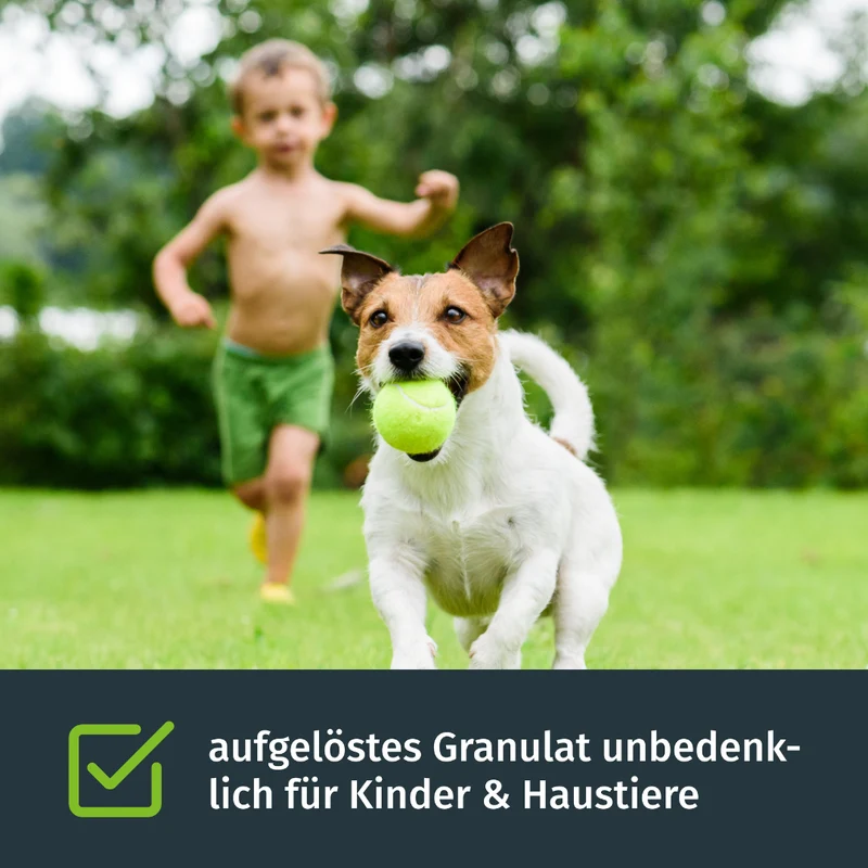 Trocken-Power-Set (150m²)