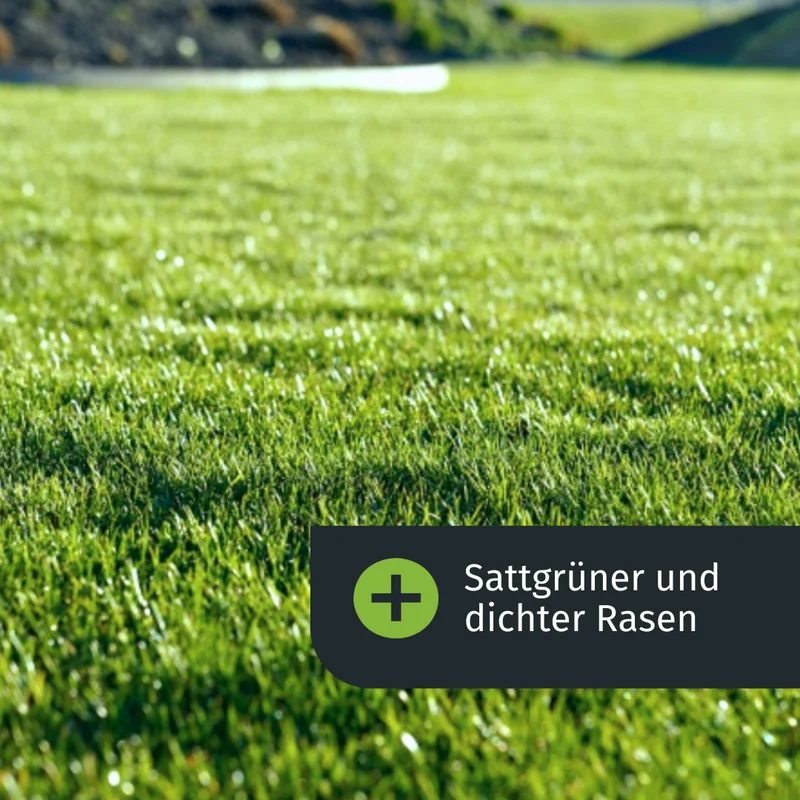 Herbst Rasenset (1000 m²)