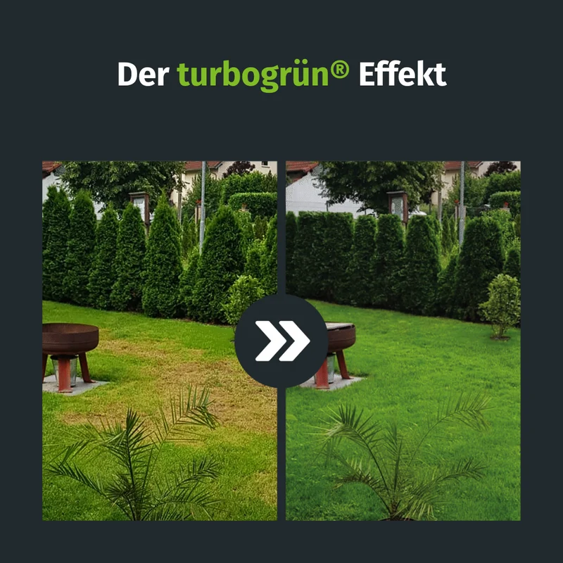 Vertikutier Set (300 m²)