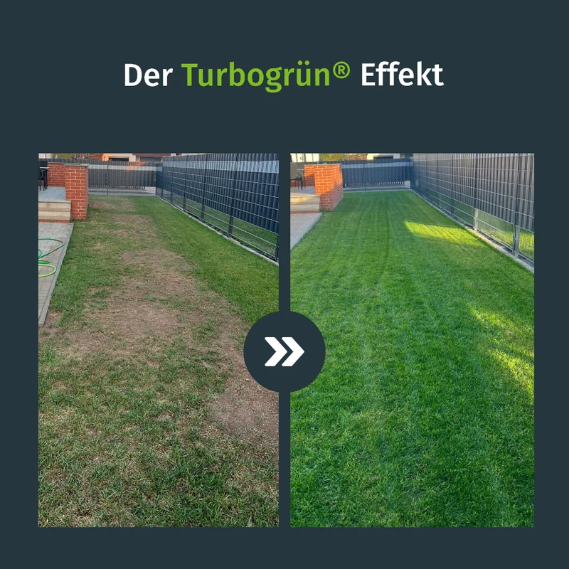 Schattenrasen