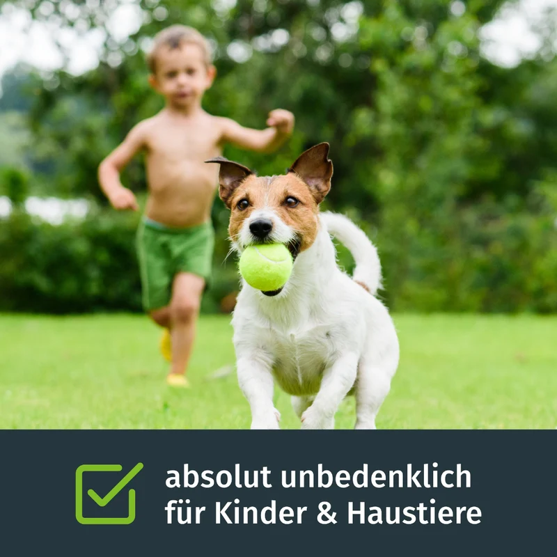 Schattenrasen