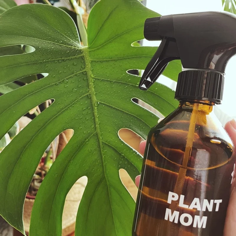 FARBIO® Sprühflasche aus Glas - Plant Mom