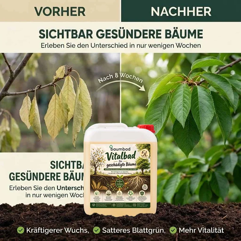 baumbad Flüssigdünger - Vitalbad - Regeneration für geschädigte Bäume 5 Liter