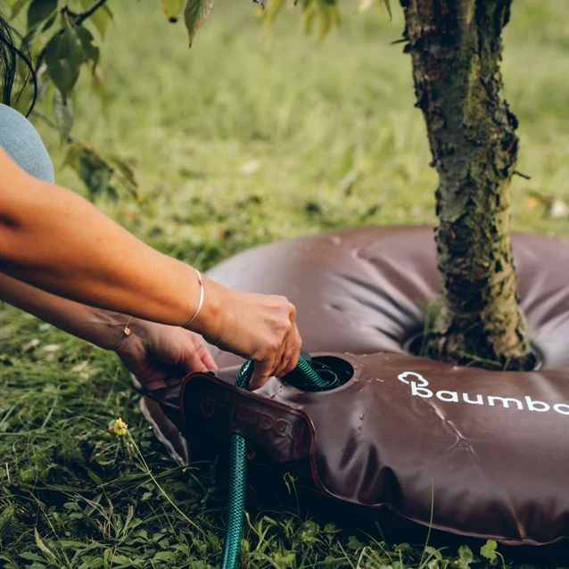 baumbad Premium Gießring 55L zur Langzeitbewässerung von Bäumen, Sträuchern und Hecken