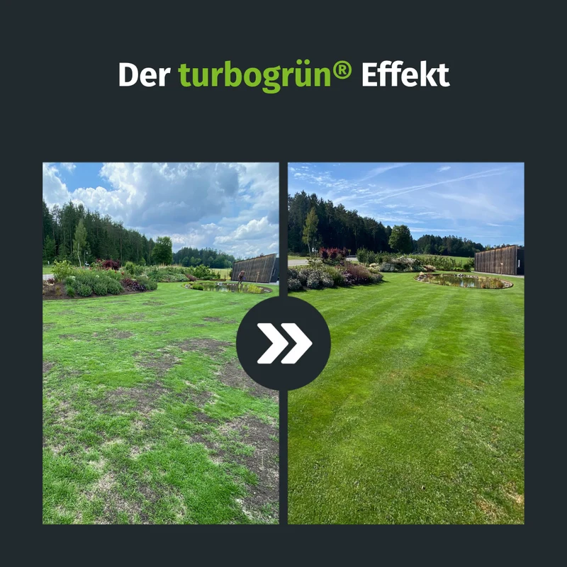 Lückenschließer Rasenset (250 m²)