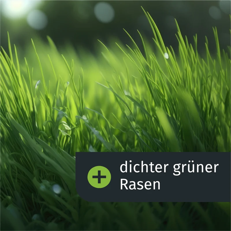 Lückenschließer Rasenset (100 m²)