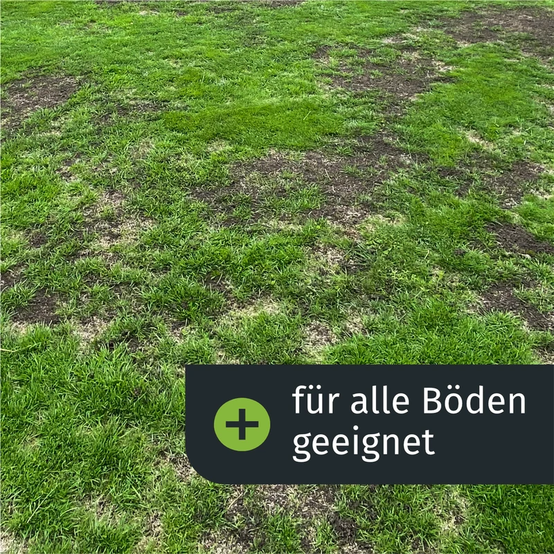 Lückenschließer Rasenset (100 m²)
