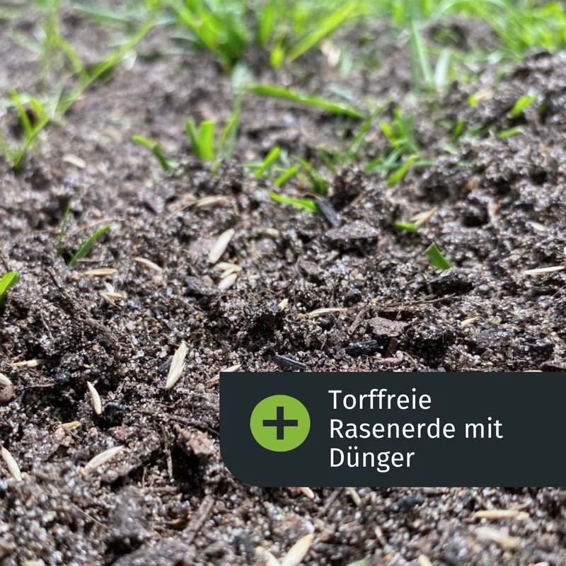 Lückenschließer Rasenset (100 m²)