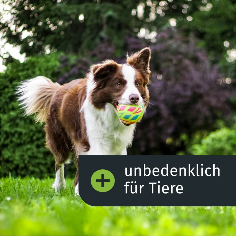 Frühlings - Rasenset