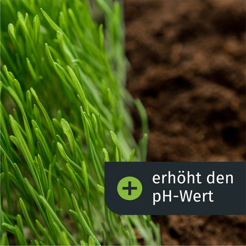 Frühlings Komplett Rasenset