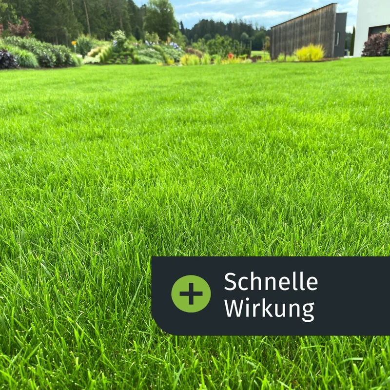 Sommer - Rasenset