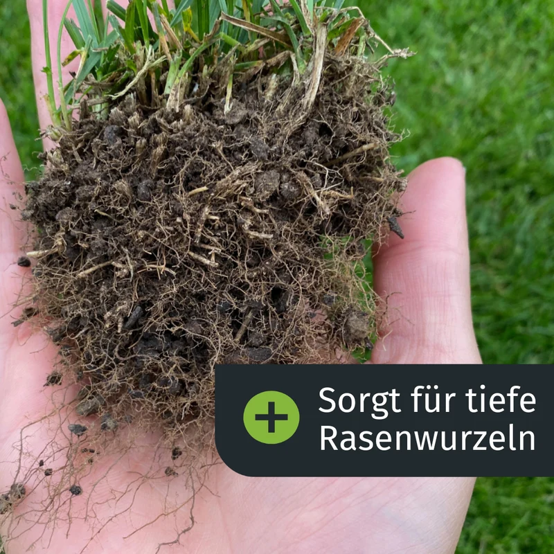 Sommer - Rasenset