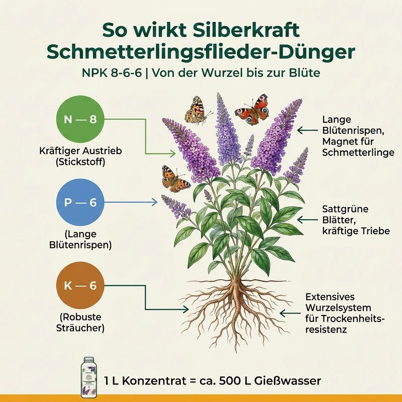 Schmetterlingsflieder Dünger - Mineralischer NPK Flüssigdünger mit Stickstoff - Dünger für Schmetterlingsflieder - Buddleja Dünger