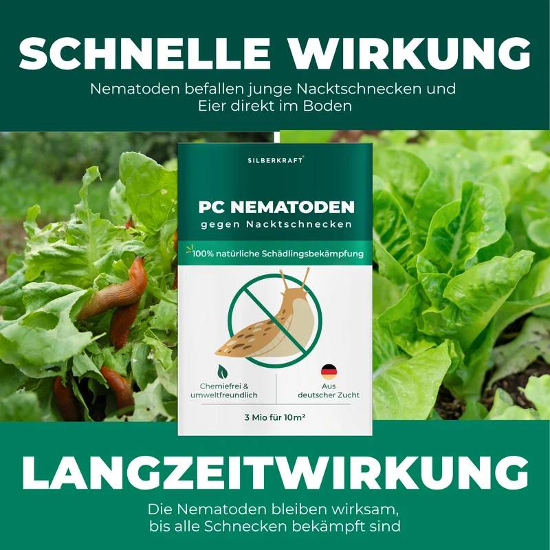 PC Nematoden gegen Nacktschnecken und Schnecken