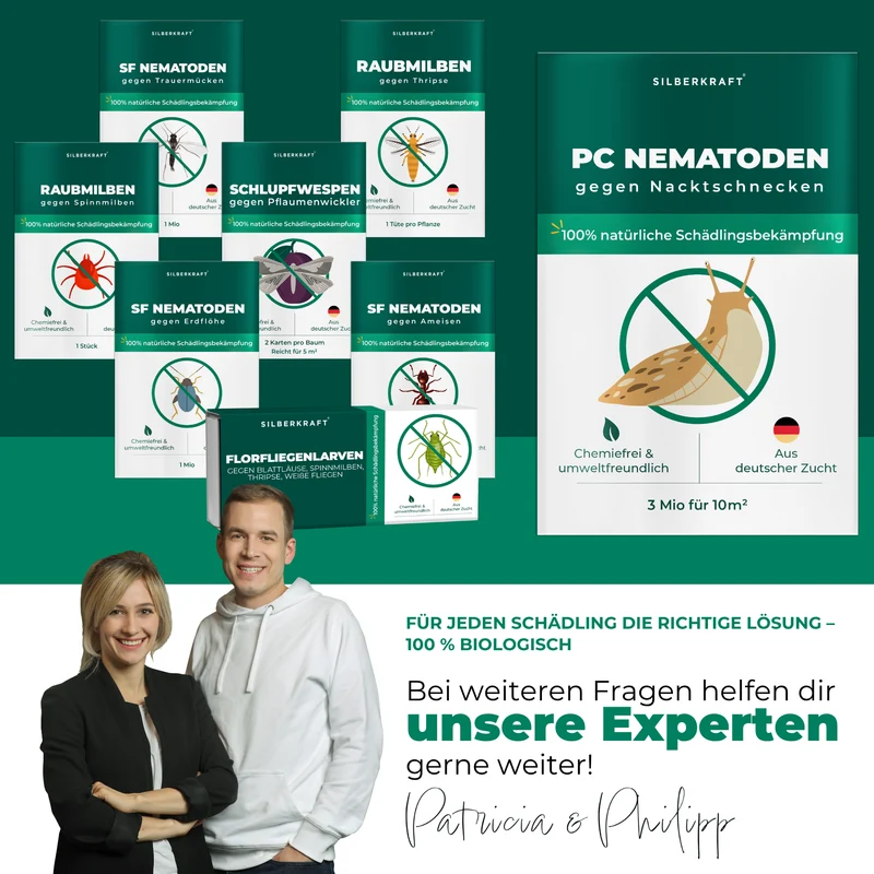 PC Nematoden gegen Nacktschnecken und Schnecken
