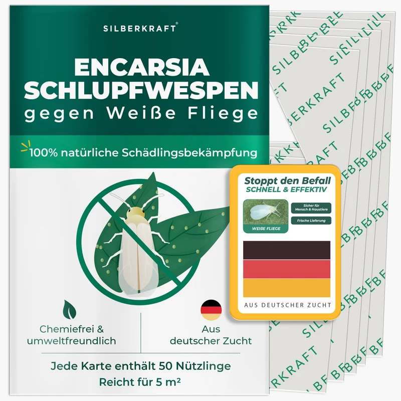 Schlupfwespen gegen Weiße Fliegen