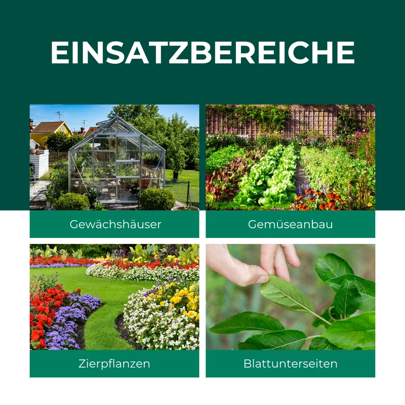 Schlupfwespen gegen Weiße Fliegen