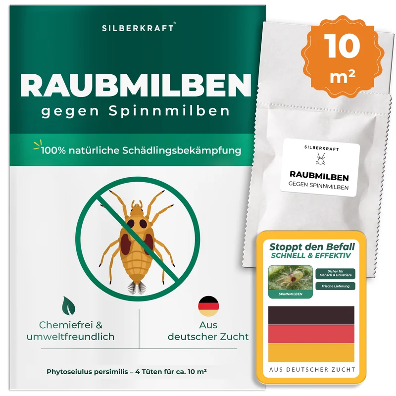 Raubmilben gegen Spinnmilben (Phytoseiulus persimilis)