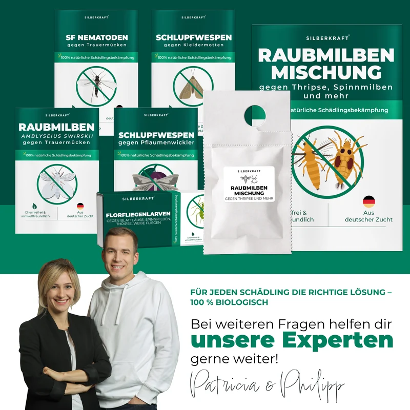 Raubmilben Mischung gegen Thripse und mehr (Neoseiulus cucumeris & Amblyseius californicus)