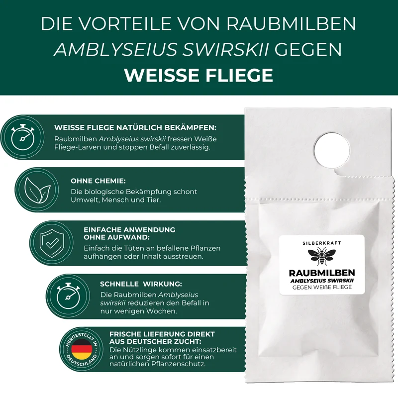 Raubmilben gegen Weiße Fliege (Amblyseius swirskii)
