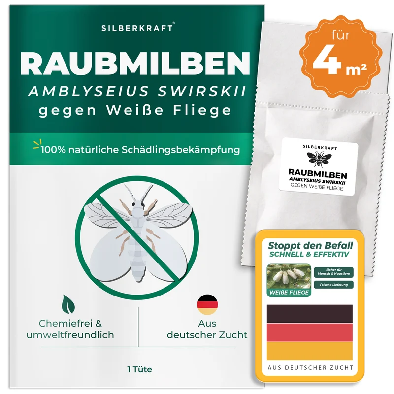 Raubmilben gegen Weiße Fliege (Amblyseius swirskii)