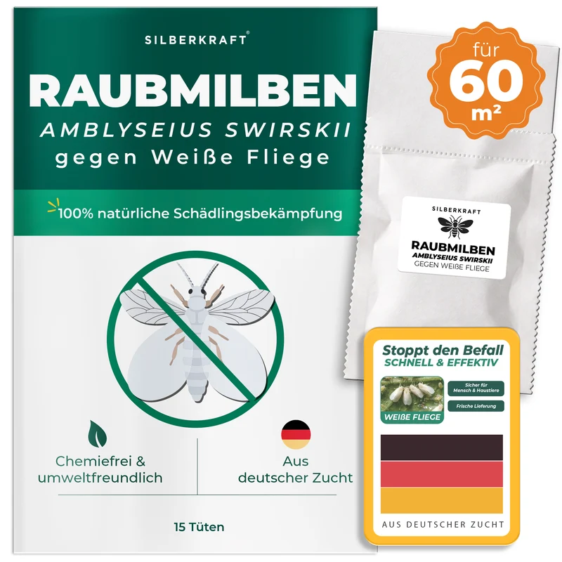 Raubmilben gegen Weiße Fliege (Amblyseius swirskii)