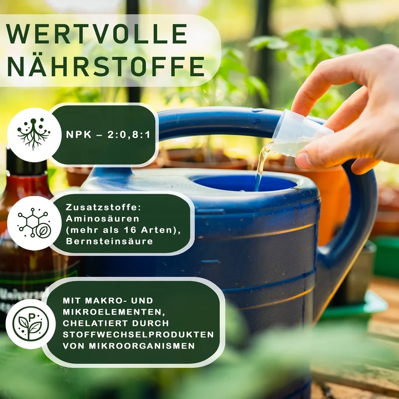 Bodenständig Zimmerpflanzen Bio-Flüssigdünger – Für sattgrüne & kräftige Pflanzen, 1 l