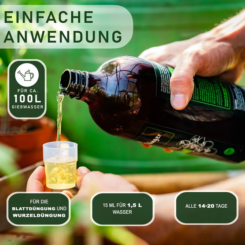 Bodenständig Zimmerpflanzen Bio-Flüssigdünger – Für sattgrüne & kräftige Pflanzen, 1 l