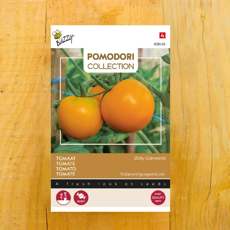 Zloty Ozarowski (Arancia) Tomate