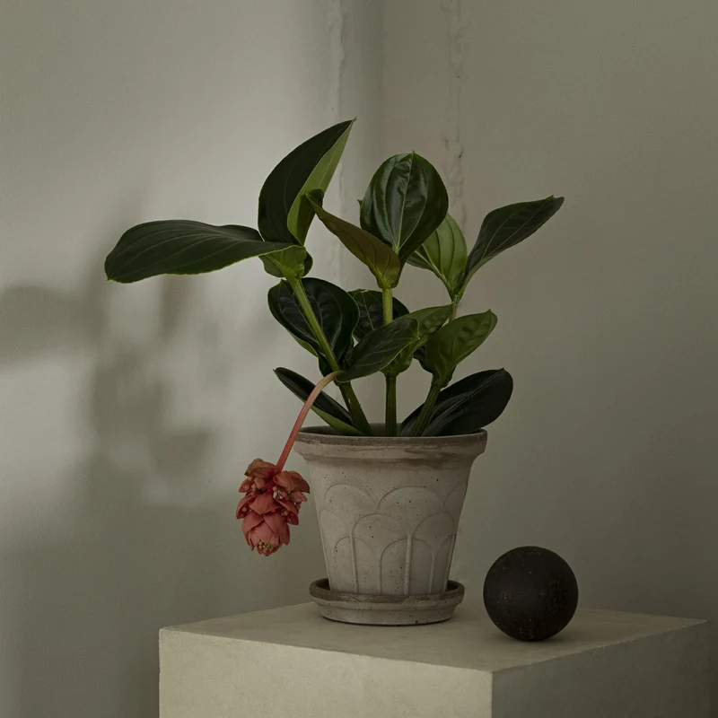 ÜBERTOPF BERGS FLEUR