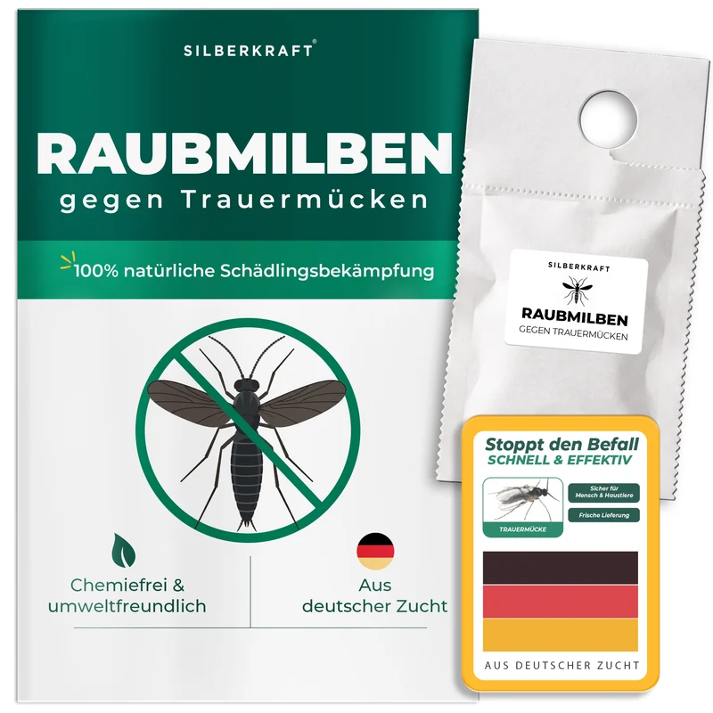 Raubmilben gegen Trauermücken (Stratiolaelaps scimitus)
