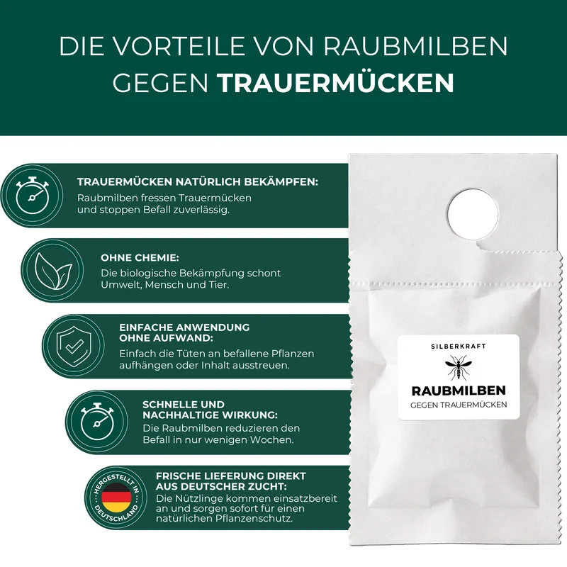 Raubmilben gegen Trauermücken (Stratiolaelaps scimitus)