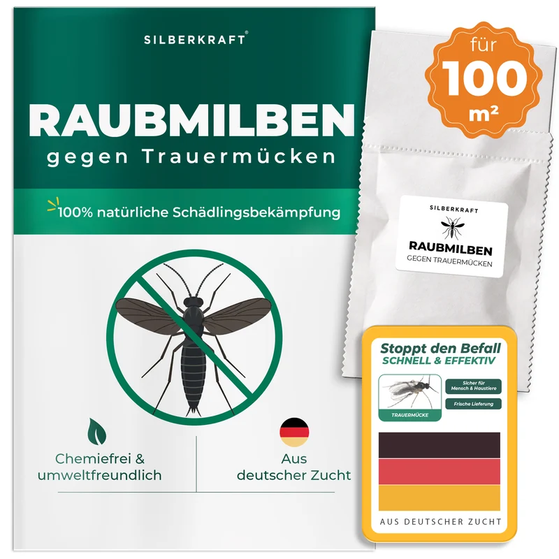 Raubmilben gegen Trauermücken (Stratiolaelaps scimitus)