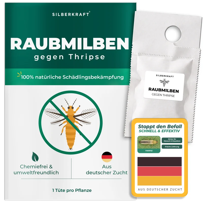 Raubmilben gegen Thripse (Neoseiulus cucumeris / Amblyseius cucumeris)