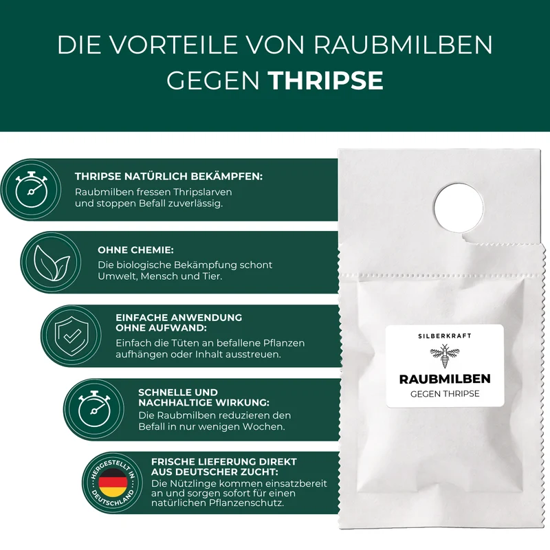 Raubmilben gegen Thripse (Neoseiulus cucumeris / Amblyseius cucumeris)