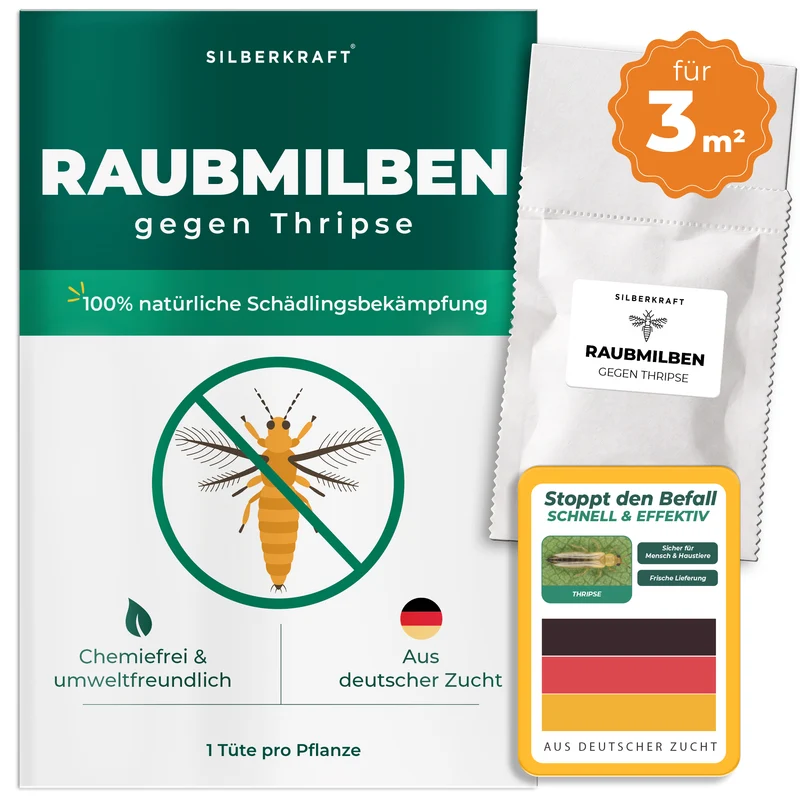 Raubmilben gegen Thripse (Neoseiulus cucumeris / Amblyseius cucumeris)