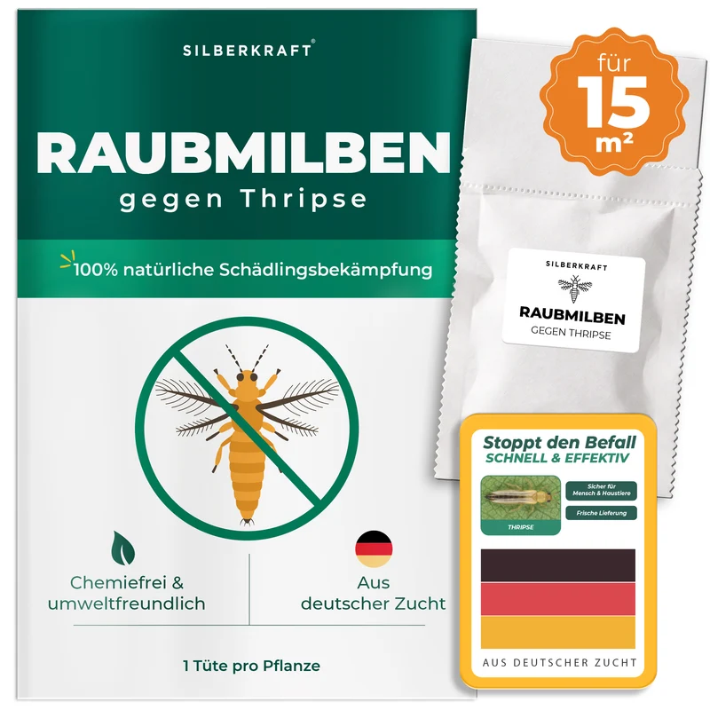 Raubmilben gegen Thripse (Neoseiulus cucumeris / Amblyseius cucumeris)
