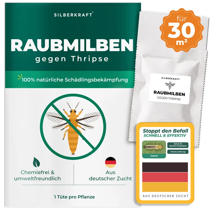 Raubmilben gegen Thripse (Neoseiulus cucumeris / Amblyseius cucumeris)