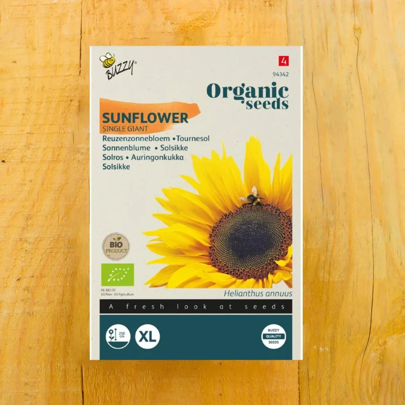 Bio Sonnenblume Riesen