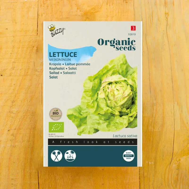 Bio Kopfsalat Maikönig