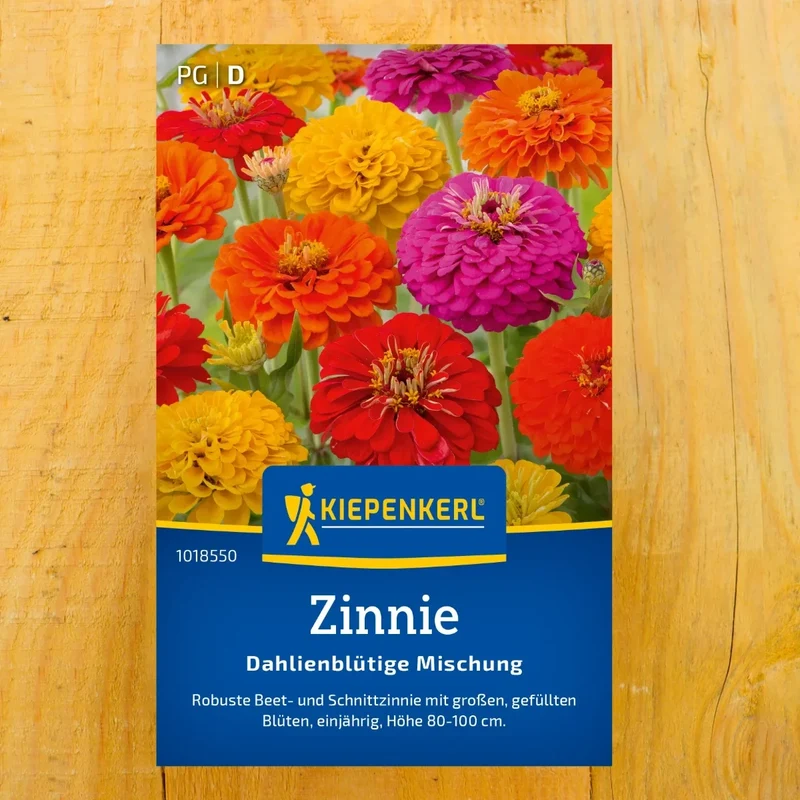 Zinnien