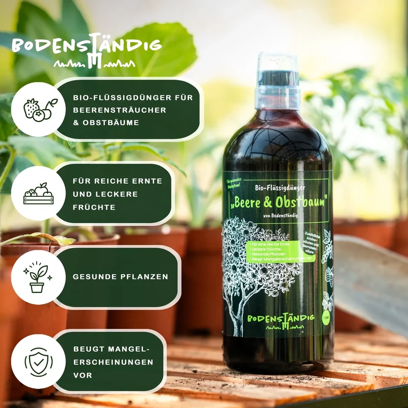 Bodenständig Beeren & Obstbaum Bio-Flüssigdünger – Für reiche Ernte & gesunde Pflanzen, 1 l