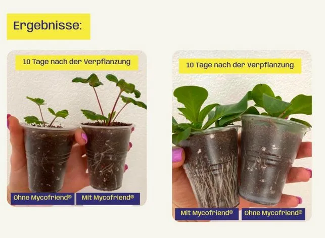 Bio Wurzelaktivator Mycofriend
